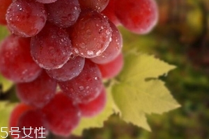葡萄籽泡水喝有作用嗎？美容保健