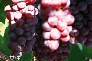 葡萄籽能直接嚼著吃嗎？不建議這樣吃