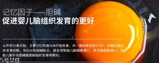 黃金素和dha可以一起吃嗎？