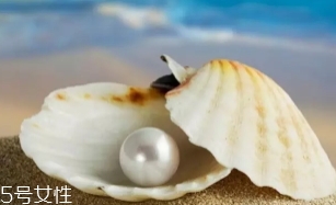南洋珍珠是海水珍珠嗎？