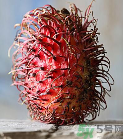 紅毛丹的核能吃嗎？紅毛丹的核可以吃嗎？