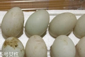 鴨蛋是酸性還是堿性？鴨蛋的性質(zhì)