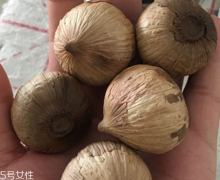 黑蒜怎么吃？黑蒜最好吃的吃法