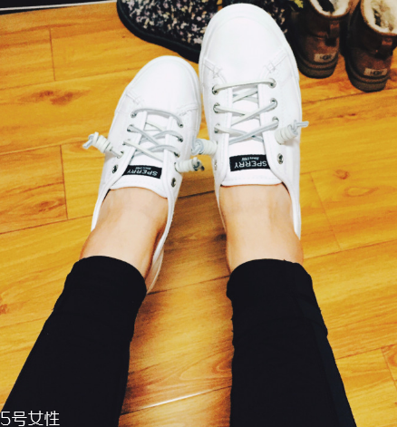 sperry鞋子多少錢？sperry鞋子的價位