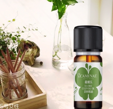 茶樹精油可以治婦科病嗎？茶樹精油怎么治婦科病