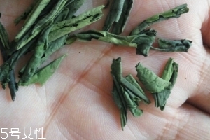 六安瓜片是紅茶還是綠茶？