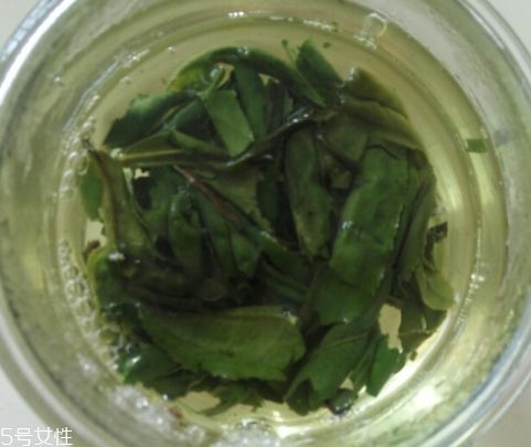 六安瓜片是紅茶還是綠茶？