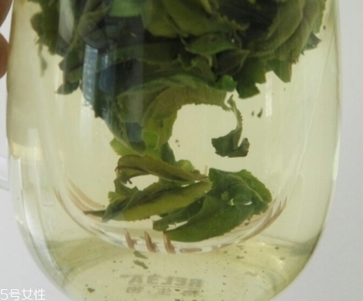六安瓜片是紅茶還是綠茶？