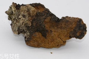 樺樹(shù)茸是中藥嗎？樺樹(shù)茸屬于中藥嗎