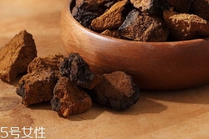 樺樹(shù)茸是樹(shù)黃嗎？樺樹(shù)茸屬于什么