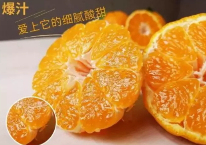 丑八怪可以放冰箱嗎？丑八怪怎么保存