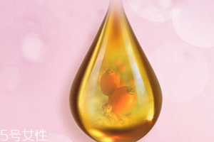玫瑰果油可以天天用嗎？玫瑰果油多久用一次