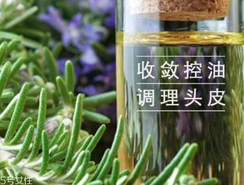 迷迭香精油怎么用？迷迭香精油使用注意事項(xiàng)