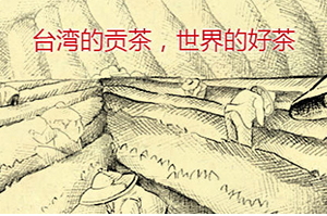 四云奶蓋貢茶哪個(gè)好喝？四云奶蓋貢茶點(diǎn)單攻略