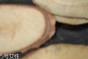 東革阿里是中藥嗎？東革阿里是什么？