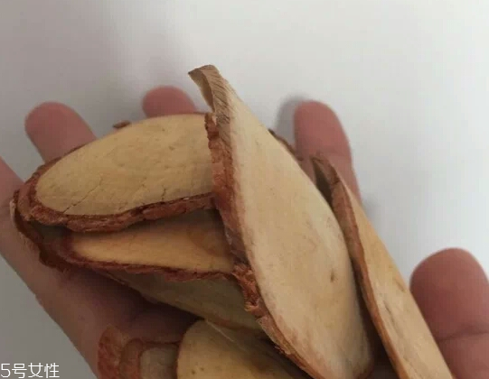 東革阿里是中藥嗎？東革阿里是什么？