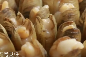 清蒸蟶子的做法 清蒸蟶子怎么做好吃？