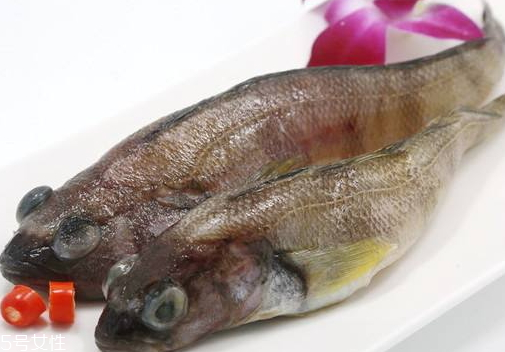 南極魚(yú)為什么那么便宜 南極魚(yú)的市場(chǎng)價(jià)格