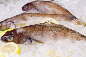 南極魚(yú)為什么那么便宜 南極魚(yú)的市場(chǎng)價(jià)格