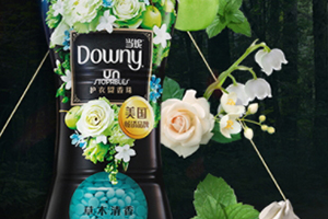downy留香珠多少錢？當(dāng)妮留香珠一瓶容量