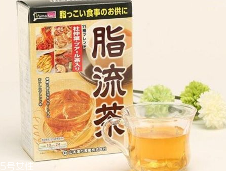 脂流茶和糖流茶哪個好？脂流茶和糖流茶選哪個