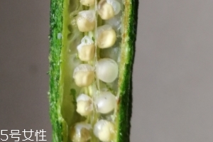 秋葵干好吃嗎？秋葵干怎么吃？