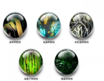 jm防曬噴霧孕婦可以用嗎？jmsolution防曬噴霧成分