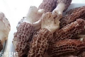 羊肚菌是什么東西？羊肚菌能吃嗎？