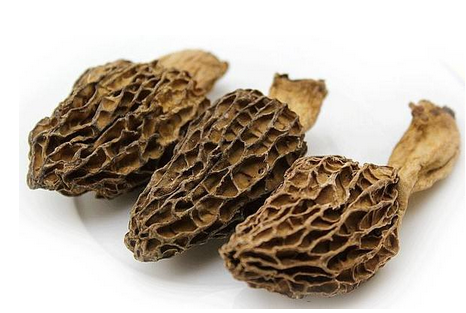 羊肚菌是發(fā)物嗎？羊肚菌屬于發(fā)物嗎？