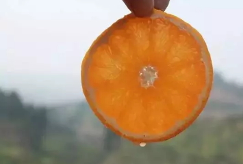 青見(jiàn)柑橘上火嗎？青見(jiàn)柑橘一天吃幾個(gè)好