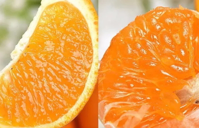 青見柑橘好吃嗎？青見柑橘酸嗎