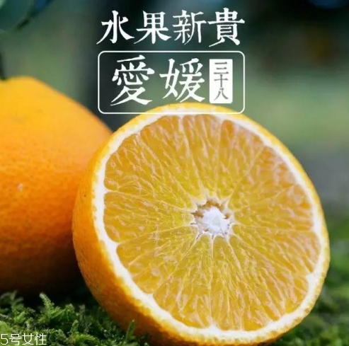 愛媛38號多少錢一斤？愛媛38號柑桔市場行情