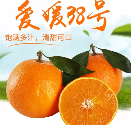愛媛38號(hào)是橙子還是橘子？愛媛38號(hào)適合哪里種植？