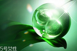 膏狀面膜好還是片狀面膜好？