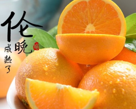 倫晚臍橙和夏橙哪個好？倫晚臍橙和其他橙子的區(qū)別