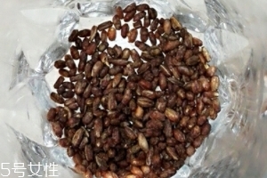 青稞茶怎么沖泡？青稞茶沖泡方法