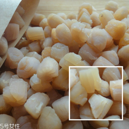 干貝是海鮮嗎？干貝是什么動物做的？