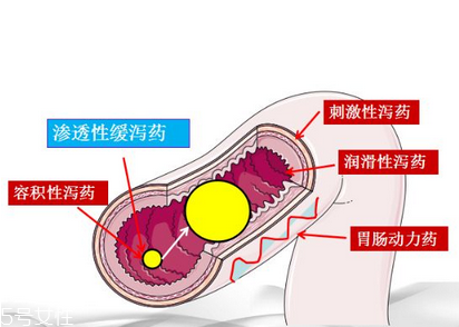 瀉藥吃了多久后開始排便？