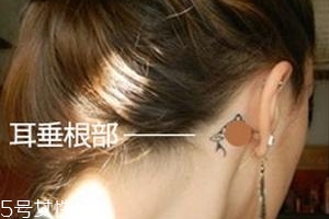 暈車貼貼哪里？暈車貼貼哪里示意圖