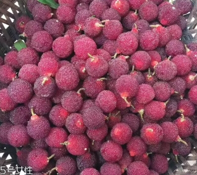 烏酥楊梅多少錢一斤？烏酥楊梅好吃嗎