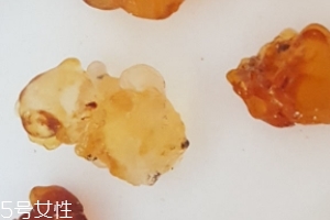 桃膠能生吃嗎？生吃桃膠可以嗎？