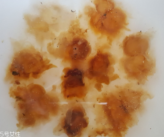 桃膠能生吃嗎？生吃桃膠可以嗎？