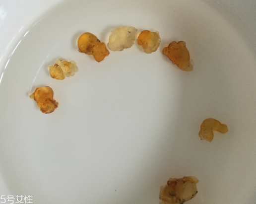 桃膠能和紅糖一起煮嗎？桃膠煮紅糖好嗎？