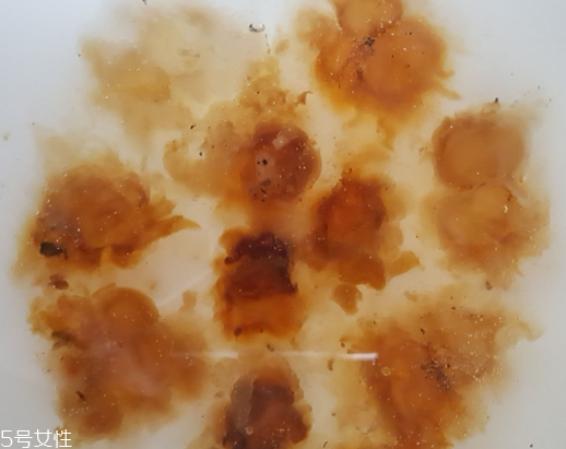 桃膠可以用開水泡嗎？用開水泡桃膠好嗎？