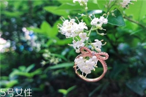 戒指掉進(jìn)下水道怎么辦？戒指掉下水道了怎么撿