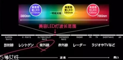 belulu大排燈怎么樣？belulu大排燈和exideal大排燈哪個好