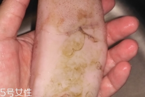魷魚是海鮮嗎？魷魚屬于海鮮嗎？