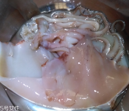 魷魚是海鮮嗎？魷魚屬于海鮮嗎？