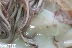 魷魚是烏賊嗎？魷魚跟烏賊是一種嗎？