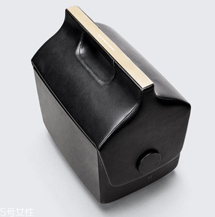 alexander wang與夢龍合作款包包多少錢_在哪買？